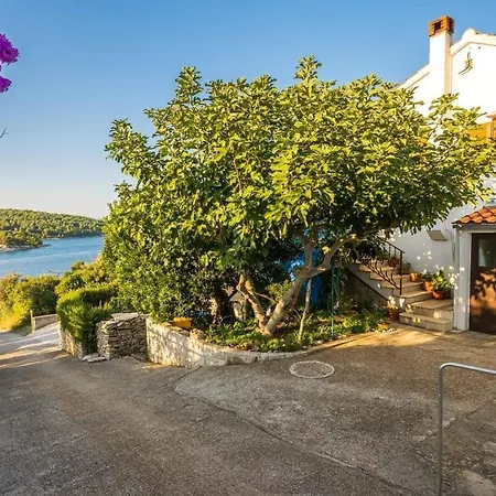 Jure - Sea View * Povlja (Brac)